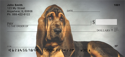 Bloodhound Checks